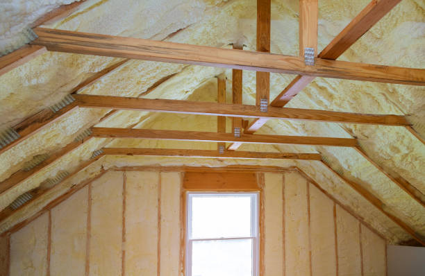 Best Residential Insulation in Woodstock, AL