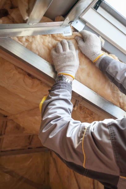 Best Specialized Insulation Services in Woodstock, AL