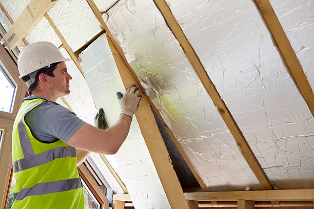 Best DIY Insulation Kits and Guidance in Woodstock, AL