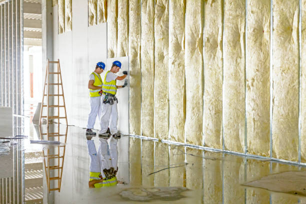 Best Insulation Maintenance and Repair in Woodstock, AL